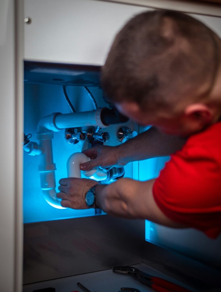 Mold Remediation & Prevention